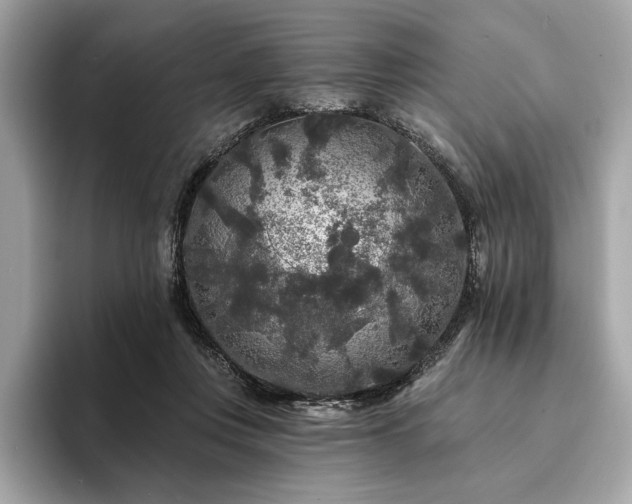 X0000094190359200710261136