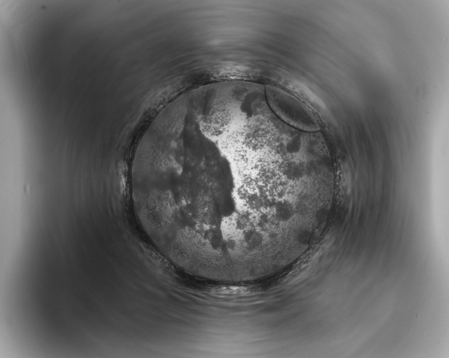 X0000094190361200710261136