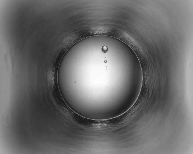 X0000094190362200710261136