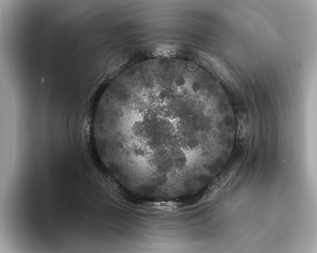 X0000094190363200710261136