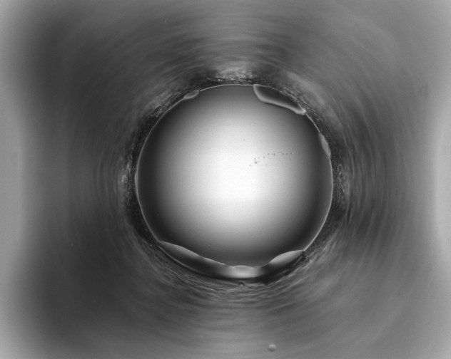 X0000094190364200710261136