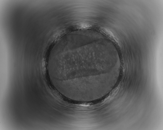 X0000094190366200710261136