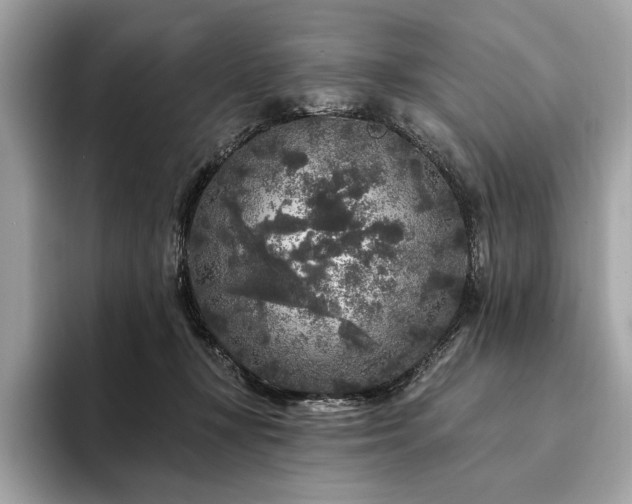 X0000094190367200710261136