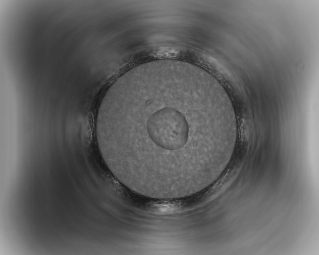 X0000094190370200710261136