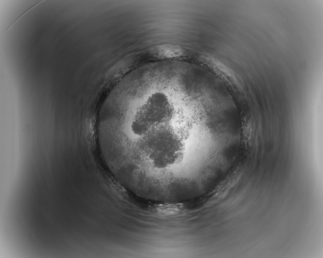 X0000094190373200710261136