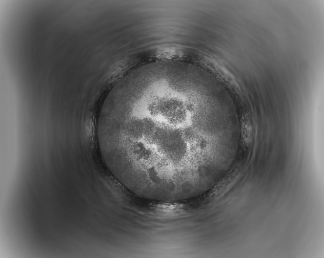 X0000094190375200710261136