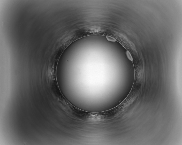 X0000094190376200710261136