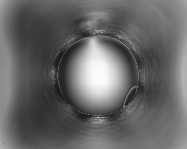 X0000094190378200710261136