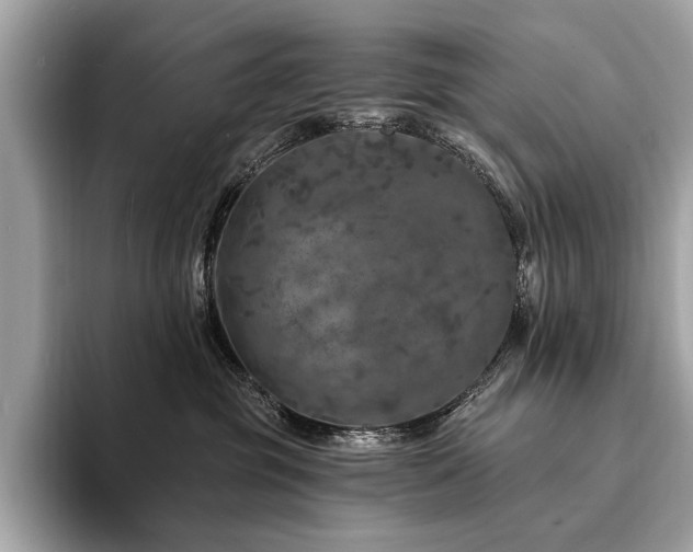 X0000094190381200710261136
