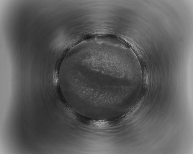 X0000094190383200710261136