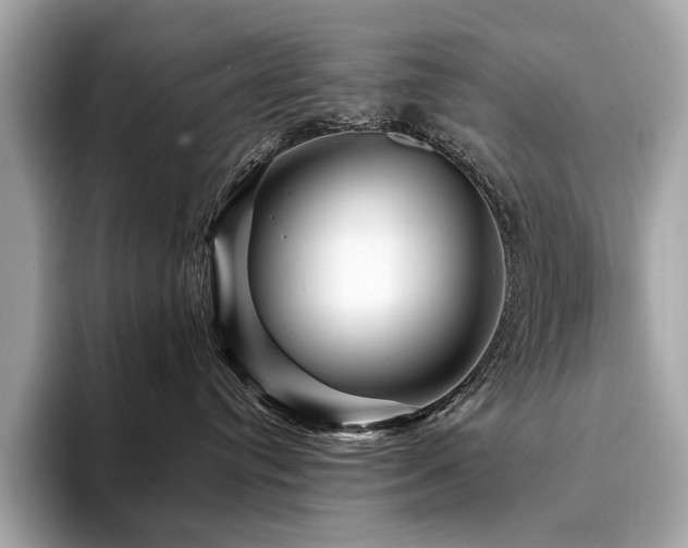 X0000094190384200710261136