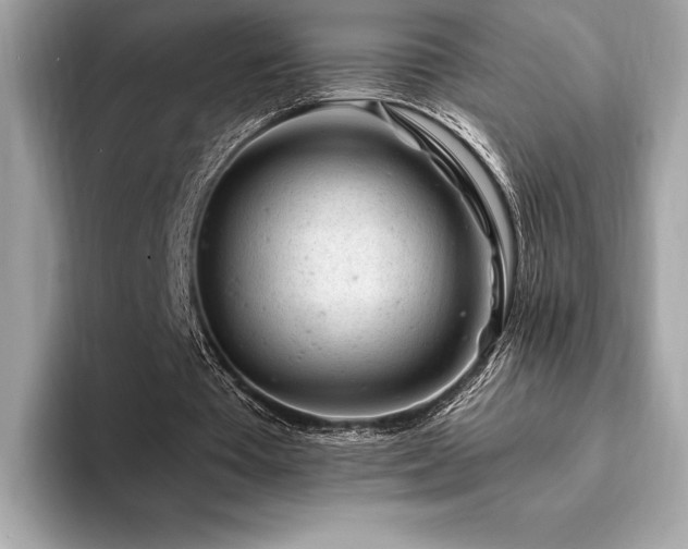 X0000094190385200710261136