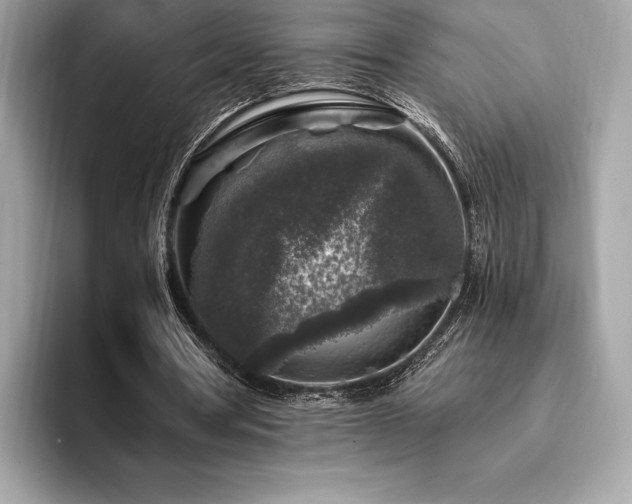 X0000094190386200710261136