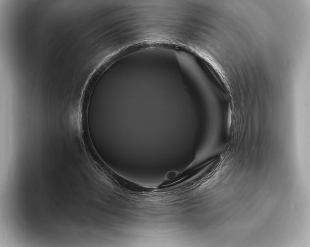 X0000094190391200710261136