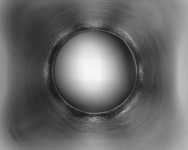 X0000094190396200710261136