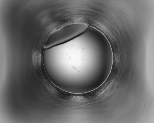 X0000094190397200710261136