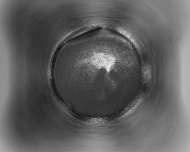 X0000094190399200710261136