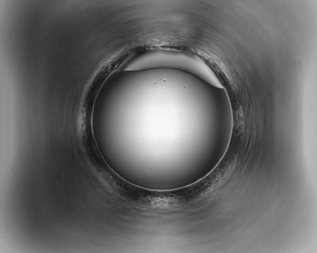 X0000094190400200710261136