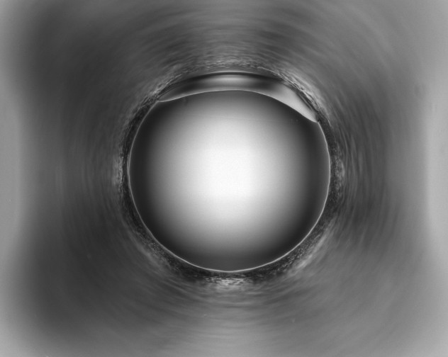 X0000094190401200710261136