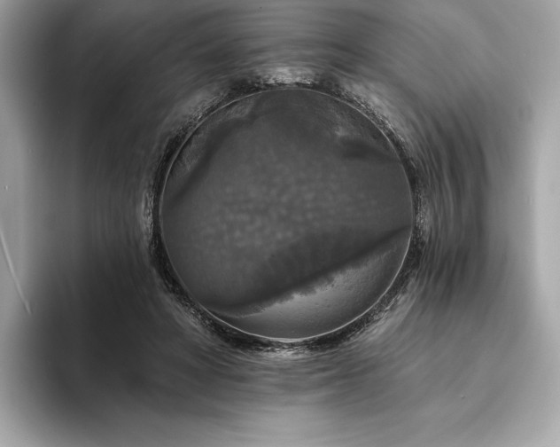 X0000094190402200710261136