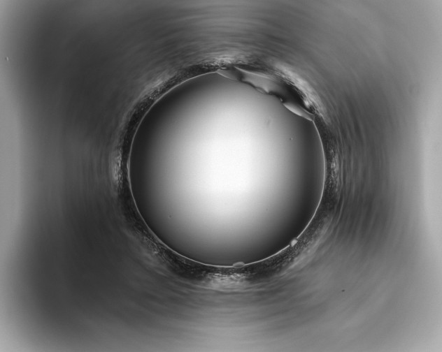 X0000094190403200710261136