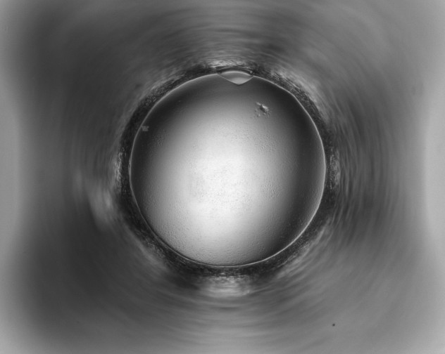 X0000094190404200710261136