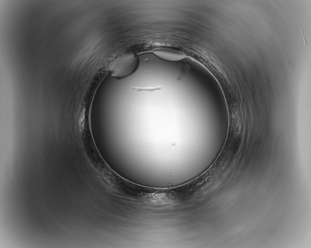 X0000094190406200710261135