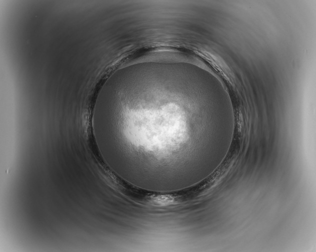X0000094190409200710261135
