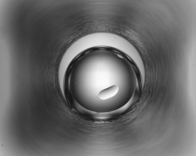 X0000094190415200710261135