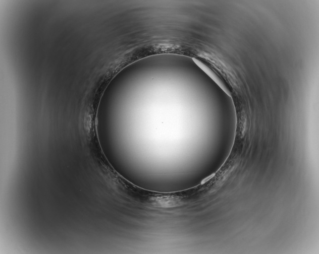 X0000094190417200710261135