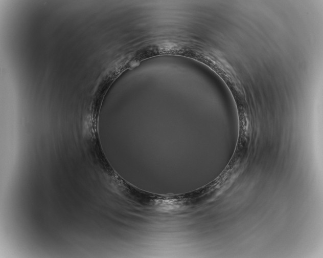 X0000094190419200710261135