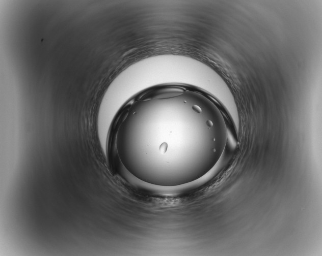 X0000094190421200710261135