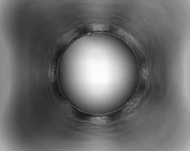 X0000094190422200710261135