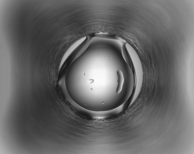 X0000094190423200710261135