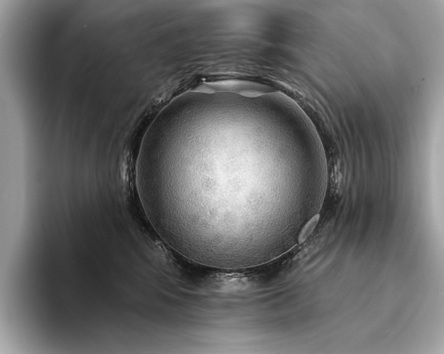 X0000094190424200710261135