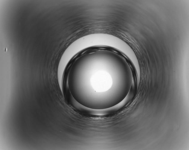 X0000094190425200710261135