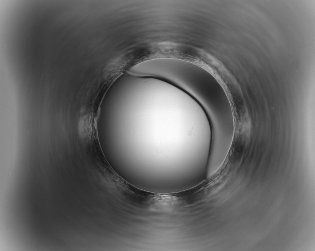 X0000094190429200710261135