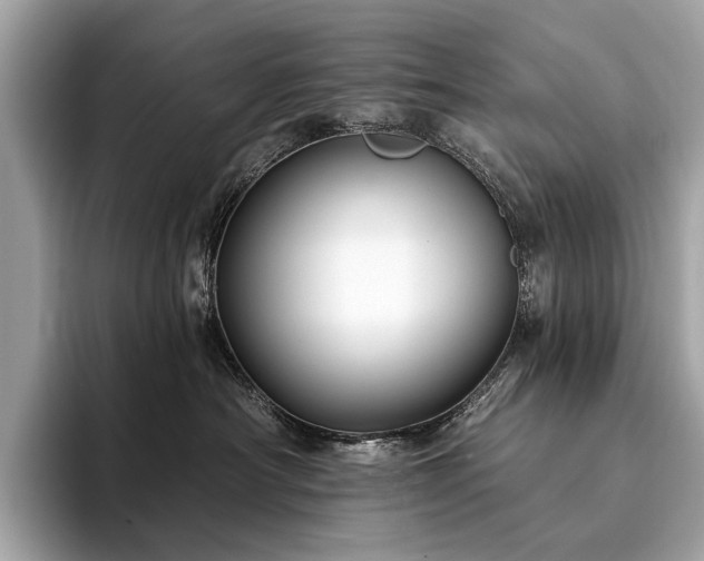 X0000094190430200710261135