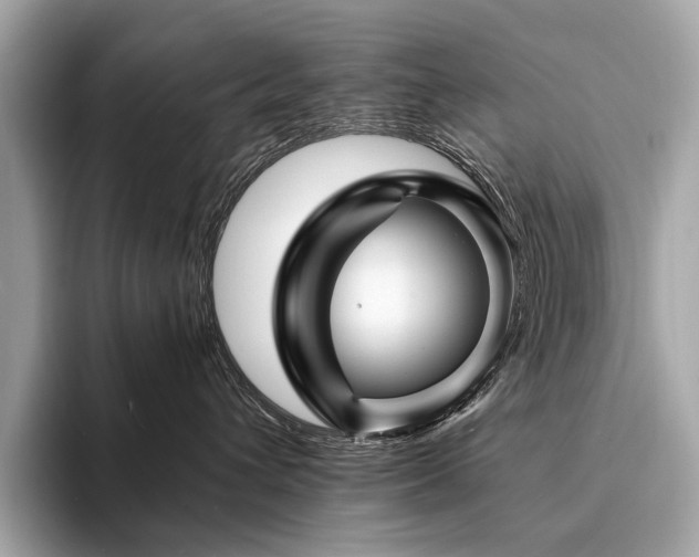 X0000094190432200710261135