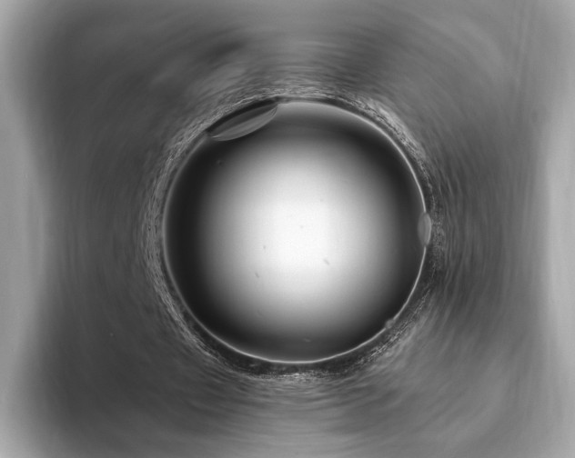 X0000094190433200710261135