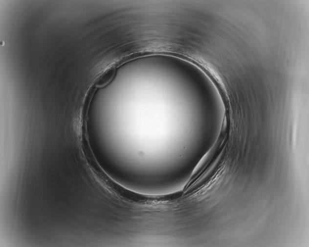 X0000094190437200710261135