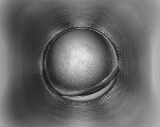 X0000094190438200710261135