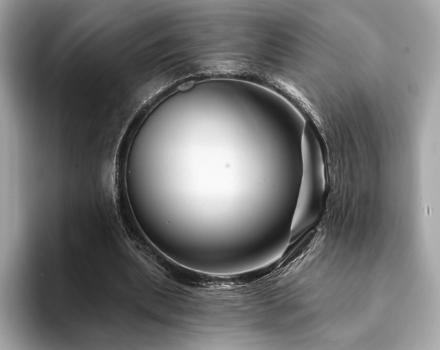 X0000094190439200710261135