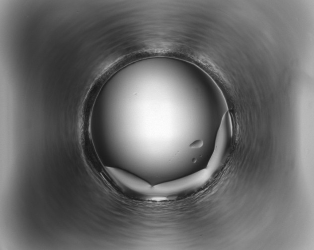 X0000094190440200710261135