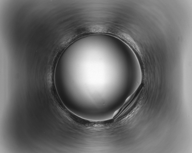 X0000094190441200710261135