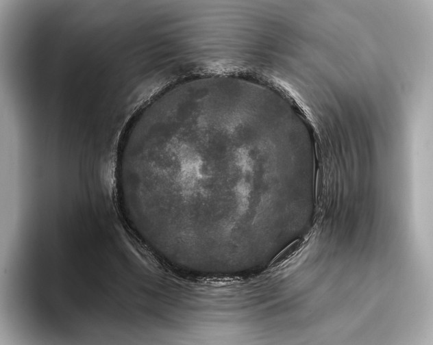 X0000094190443200710261135