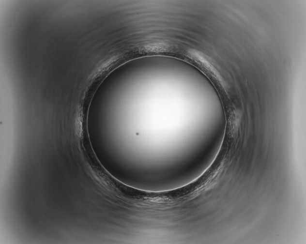 X0000094190446200710261135