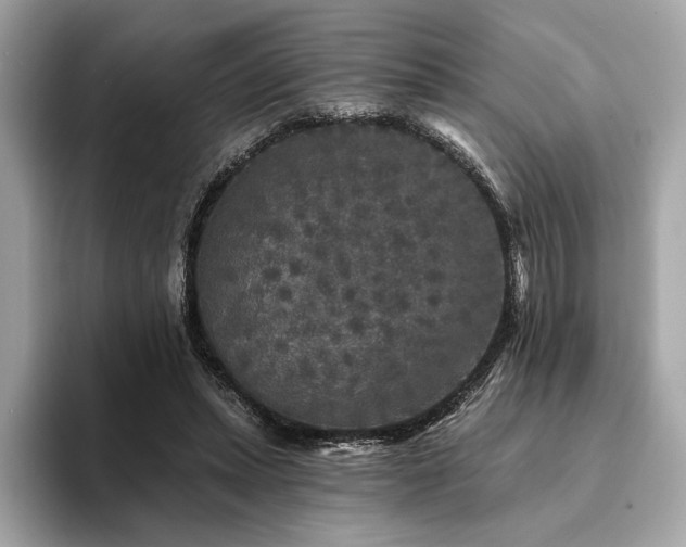 X0000094190447200710261135