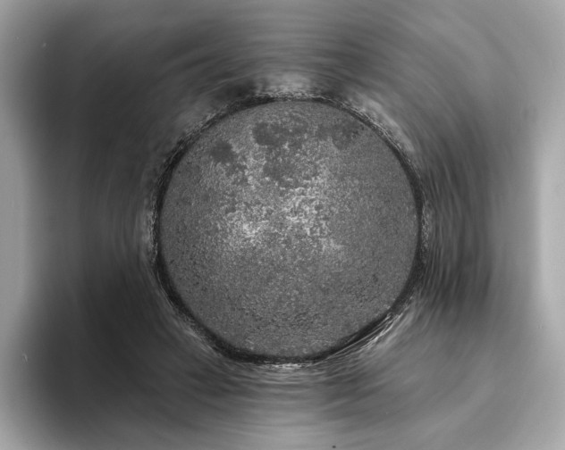 X0000094190449200710261135