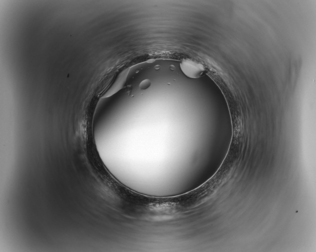 X0000094190452200710261135